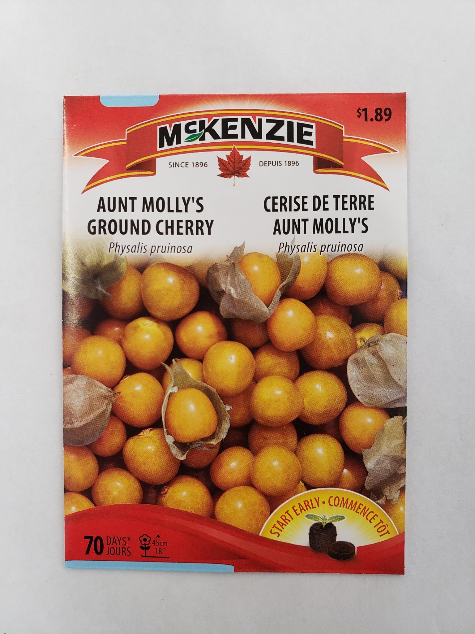 seeds Ground Cherry Aunt Molly HONEYSWEET and RICH! 20
